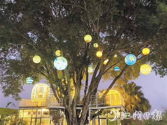 臺(tái)山新娘房農(nóng)場(chǎng)餐廳內(nèi)設(shè)有當(dāng)下流行的休閑元素星空房。