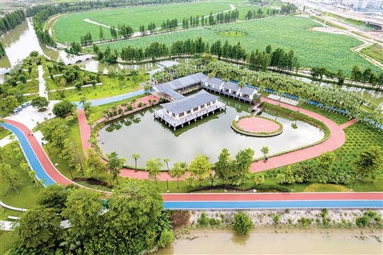 江海區(qū)禮樂河水利風(fēng)景區(qū)。