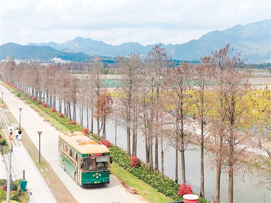 游客坐上“鐺鐺車”，欣賞沿途的美景。