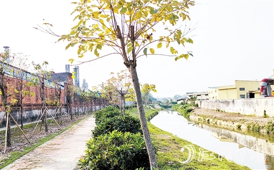 新橋水流域經(jīng)過治理后，環(huán)境大大改善。