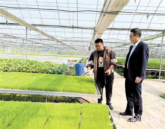 臺山農(nóng)商銀行客戶經(jīng)理上門對接農(nóng)戶春耕融資需求。