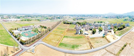 鷹村田園綜合體項(xiàng)目建設(shè)順利推進(jìn)。