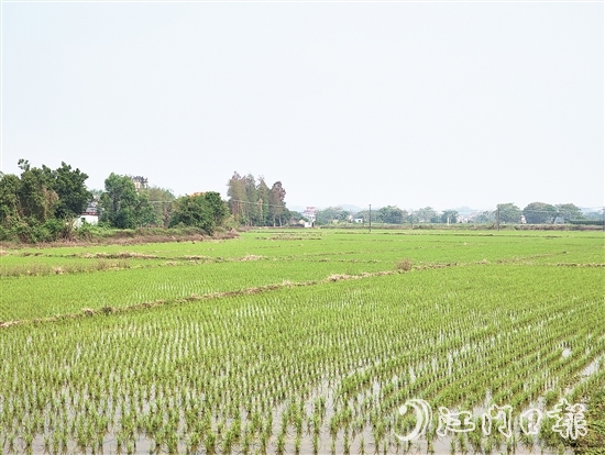 2024年，塘口新增耕地超49公頃，為鄉(xiāng)村振興注入了新動能。