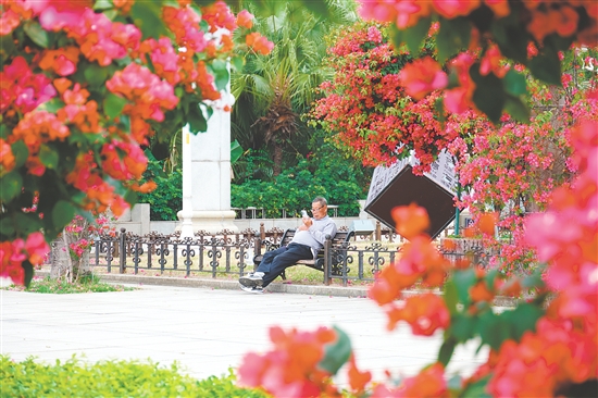 影視劇《棋士》曾在東湖公園取景。