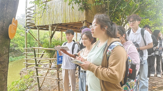 學生們在基地觀察各類植物。
