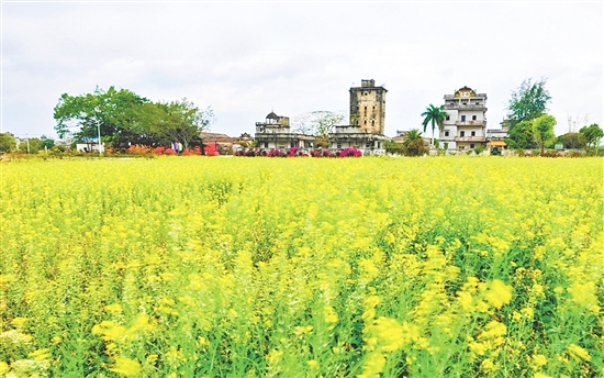 儒東龍厚村油菜花海擦亮美麗鄉(xiāng)村底色。