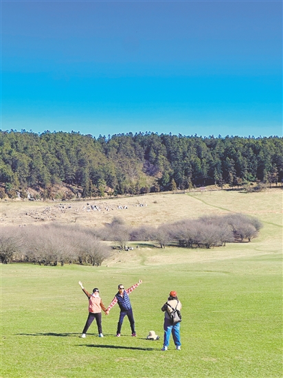 仙女山國(guó)家森林公園十分治愈。