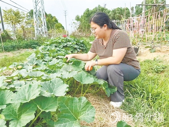 錢崗村村干部管好“黨群同心園”。