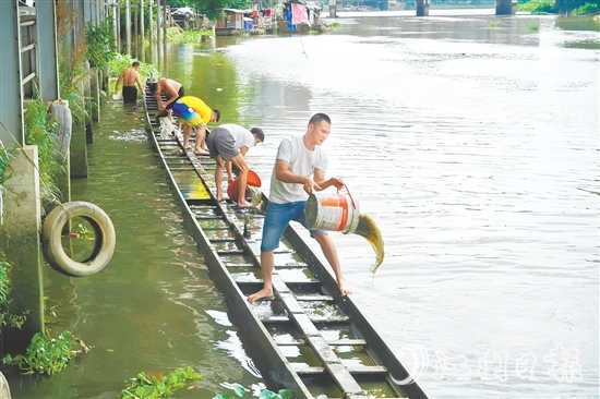掏泥沙、舀泥漿，長沙街道愛民村委會杜澄村村民分工合作，“請”出河中的“金龍”。