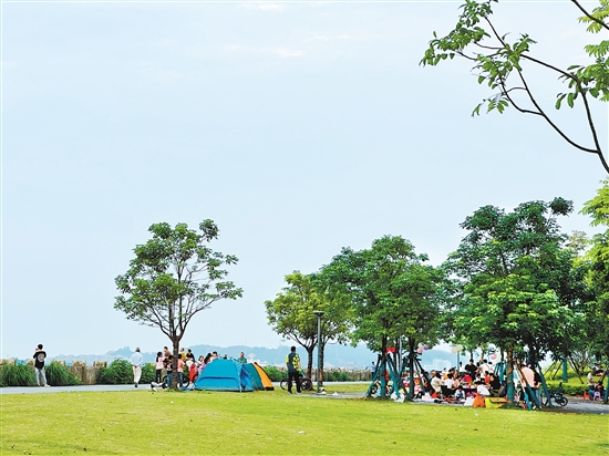 每到周末及節(jié)假日，江門各大公園及露營地成為親子野餐露營的首選之地。