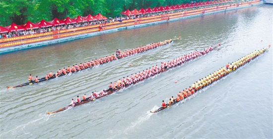 在新會(huì)舉辦的廣東省第七屆傳統(tǒng)龍舟“大有杯”爭(zhēng)霸賽中，3條龍舟如離弦之箭沖向終點(diǎn)。周華東