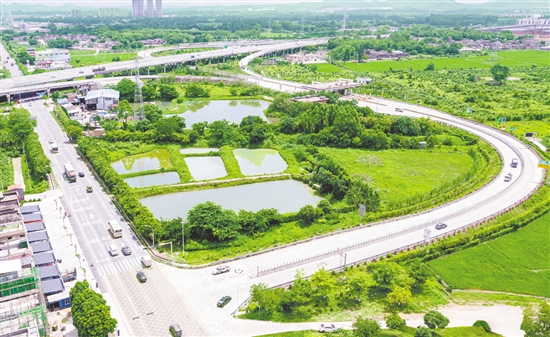 近年來，水步鎮(zhèn)先后投入約500萬元用于周邊廊道建設(shè)。