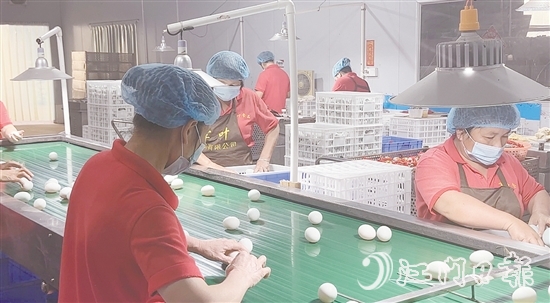 赤水鎮(zhèn)現(xiàn)已形成集種鴨繁育、生態(tài)養(yǎng)殖、飼料供應(yīng)、肉禽屠宰、蛋品加工、冷鏈物流于一體的完整產(chǎn)業(yè)鏈，產(chǎn)業(yè)總產(chǎn)值超5億元。