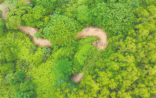 在恩平，可以一邊騎行，一邊欣賞美景。