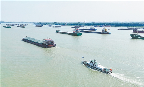 臺風(fēng)來臨前，大批外地船舶有序進(jìn)入江門銀洲湖、潭江、西江等水域避風(fēng)。