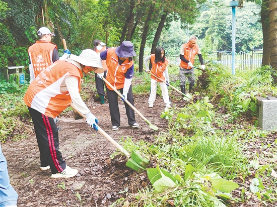 東湖公園管理所工作人員對園內(nèi)蚊蠅孳生地進(jìn)行清理。