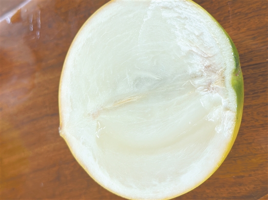 黃晶果的果肉晶瑩剔透，甜度極高，口感宛如天然冰淇淋。