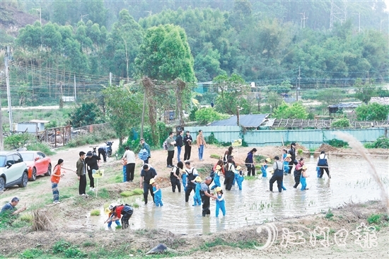 龍眠村把田間地頭打造成實踐研學地，探索發(fā)展農(nóng)文旅產(chǎn)業(yè)。