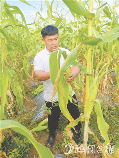 吳偉光的故事是新時(shí)代青年扎根鄉(xiāng)土的生動(dòng)注腳，也是鄉(xiāng)村振興大潮中萬(wàn)千返鄉(xiāng)青年拼搏奮進(jìn)的真實(shí)寫照。