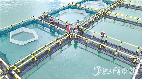 臺風(fēng)到來前，江門人保財險理賠人員奔赴川島沿岸海洋牧場，勘察安全隱患。