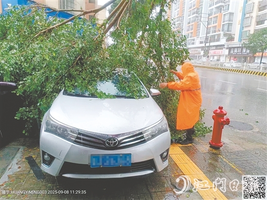 平安產(chǎn)險查勘員在巡查中看到一輛汽車被倒下的大樹壓住，馬上聯(lián)系車主并協(xié)助清理。