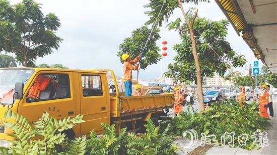 城管部門提前修剪樹木，消除隱患。