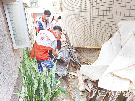 恩平市社會各界積極參與防蚊滅蚊愛國衛(wèi)生運動，圖為志愿者在清理垃圾，消除蚊蟲孳生點。