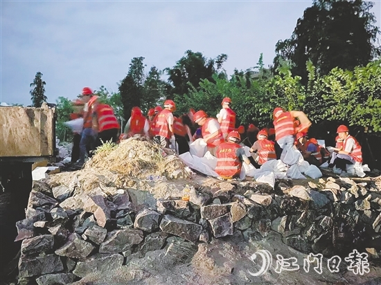 臺(tái)風(fēng)來臨前，在西江大堤重要點(diǎn)位，工作人員裝好4000個(gè)沙袋嚴(yán)陣以待。