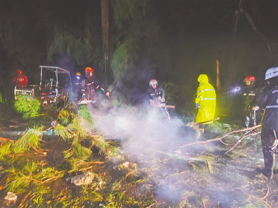 風(fēng)雨勢頭稍減，川島鎮(zhèn)政府迅速聯(lián)合臺山市交通陸島開發(fā)公司、臺山市川山群島旅游發(fā)展有限公司奔赴山咀港進(jìn)港路開展路面清障工作。川島鎮(zhèn)供圖