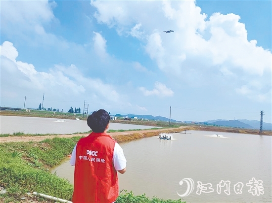 江門人保財(cái)險(xiǎn)工作人員現(xiàn)場(chǎng)開(kāi)展前置性風(fēng)險(xiǎn)排查與防護(hù)指導(dǎo)。