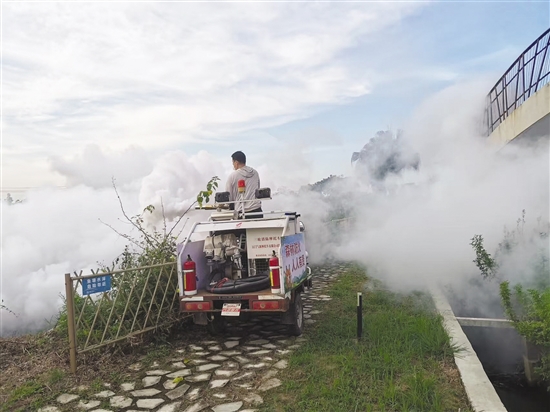 開平市塘口鎮(zhèn)通過多種方式應(yīng)用煙霧機滅蚊。圖為煙霧機搭配農(nóng)用車對蚊蟲進行滅殺。