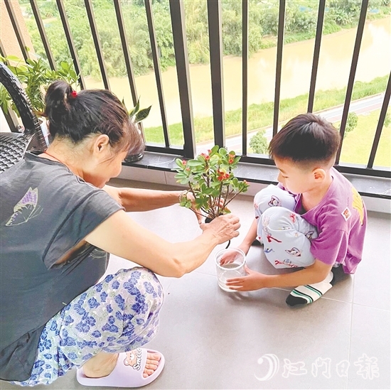 臺(tái)山學(xué)子帶動(dòng)家庭成員一起清積水、滅蚊蟲(chóng)、搞衛(wèi)生。