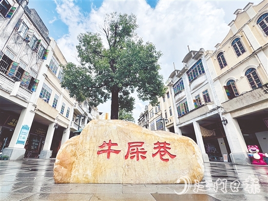 臺(tái)山的“牛屎巷”出現(xiàn)在《捕風(fēng)追影》電影鏡頭中。