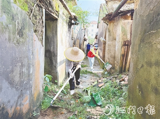 連日來，黨員干部深入恩城街道清除衛(wèi)生死角，開展防蚊滅蚊行動。