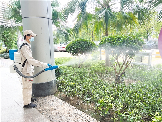 江門市婦幼保健院開展蚊蟲消殺行動，打造“無蚊醫(yī)院”。
