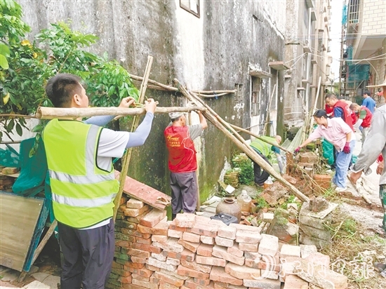 干群合力清理蚊媒孳生地。