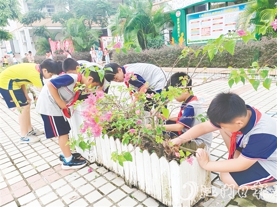 各學(xué)校組織開展校園清理行動，少先隊員們積極參與。
