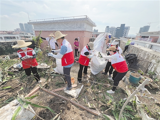 開平市各民主黨派、工商聯(lián)等組織志愿者清理蚊媒孳生地，開展愛國衛(wèi)生運(yùn)動(dòng)。