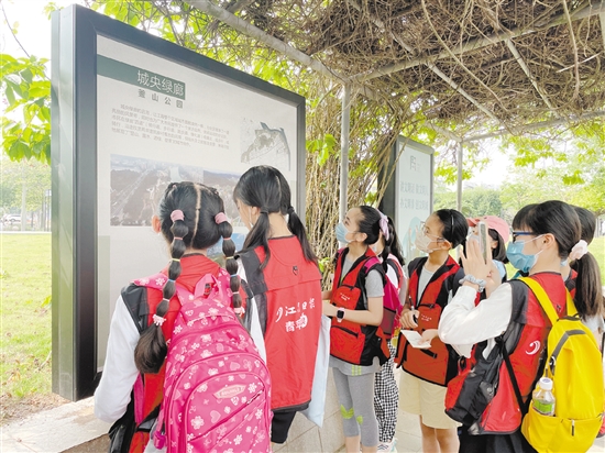 小記者們邊走邊看，感受江海城市品質(zhì)提升。