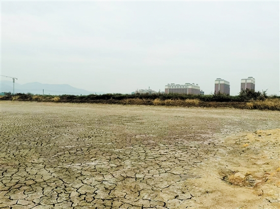 廣州華立學(xué)院拿下的地塊將為江門校區(qū)的發(fā)展提供更大空間。