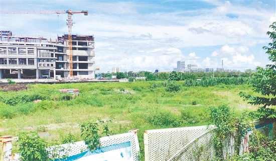 江門市JCR2025-100（新會(huì)18）號(hào)地。